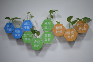 走进智慧农田，助力乡村振兴——湖北大学学子探索物联网农业应用现状纪实