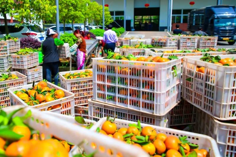 长寿再添9个绿色食品！有你常吃的农产品吗？