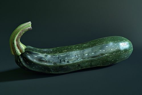 绿意盎然，新鲜上市 西葫芦的高品质选择