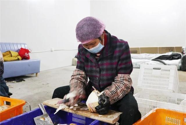 从同安到赤锡,永泰这个农产品加工厂越做越大!